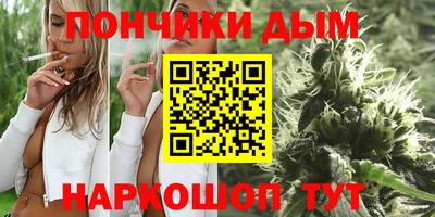 spice Гатчина