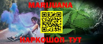 spice Гатчина