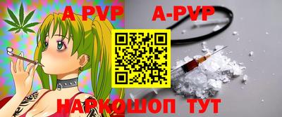 spice Гатчина
