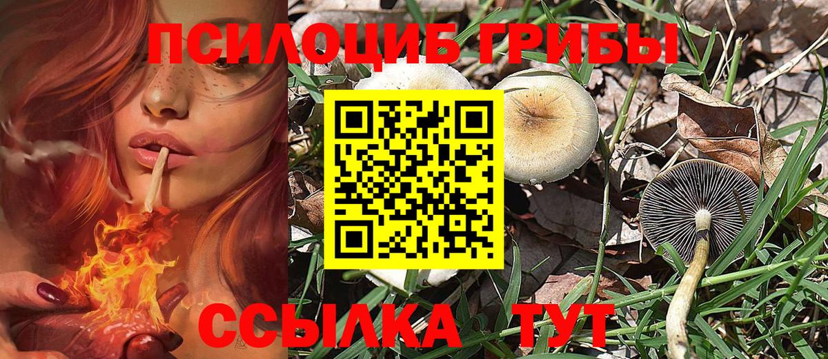 Галлюциногенные грибы прущие грибы Трёхгорный